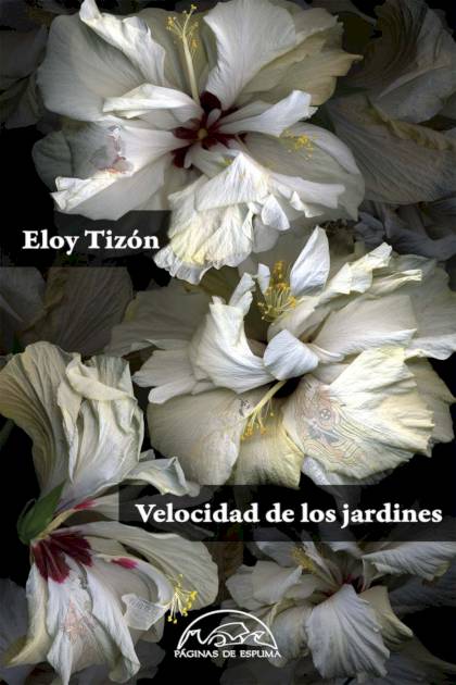 Tecnicas De Iluminacion Tizon Eloy - Mundo Ebook