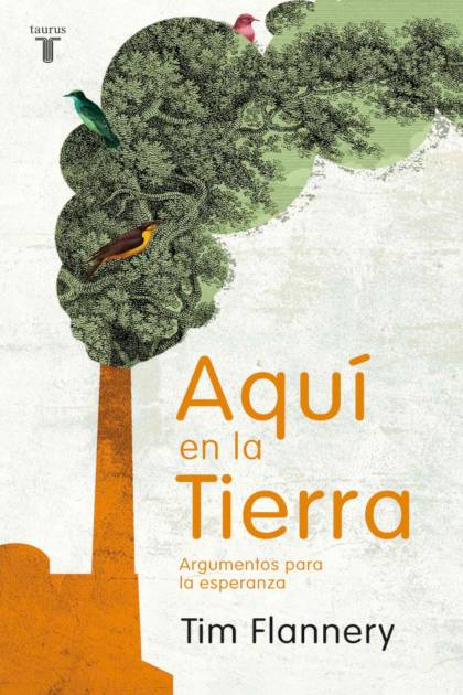 Comida De Verdad Jara Miguel - Mundo Ebook