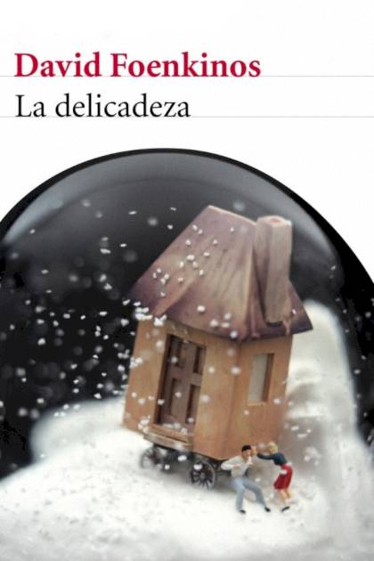 La Delicadeza – David Foenkinos